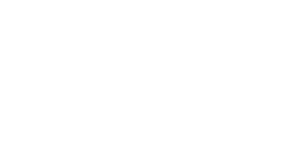 dataspin-logo_white-svg